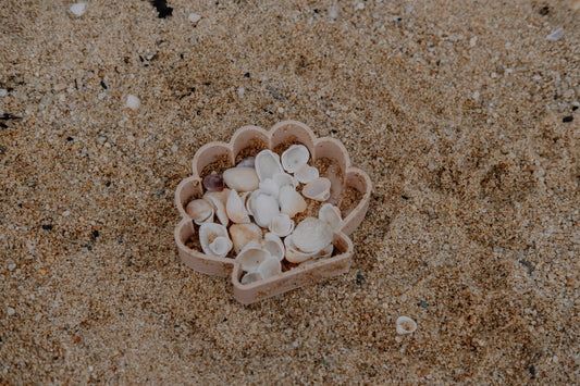 Sea Shell Eco Mould™