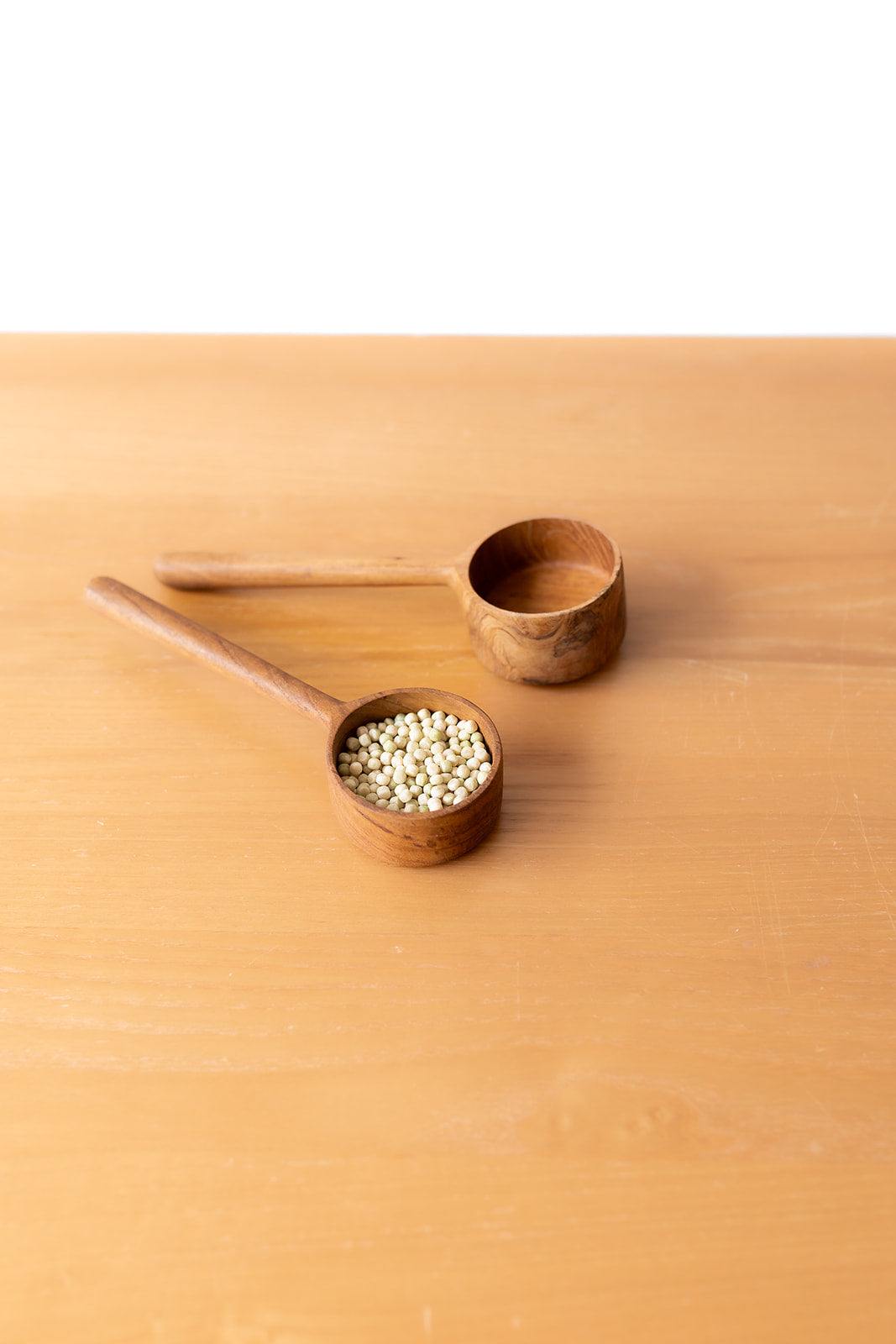 Full Moon Scoop Medium