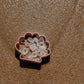 Sea Shell Eco Mould™