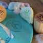 Wooden Turtle Lifecycle Stamps