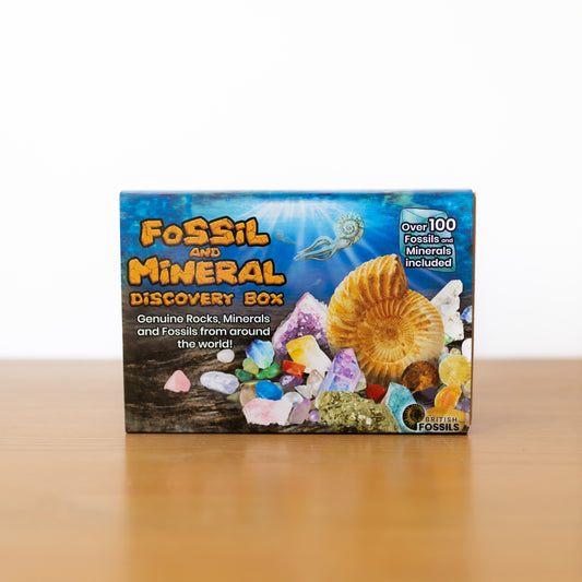 Fossil and Mineral Discovery Box