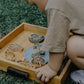 Pond life Cutter Set - Eco Playdough Tool