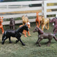Horses Toob