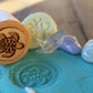 Wooden Turtle Lifecycle Stamps