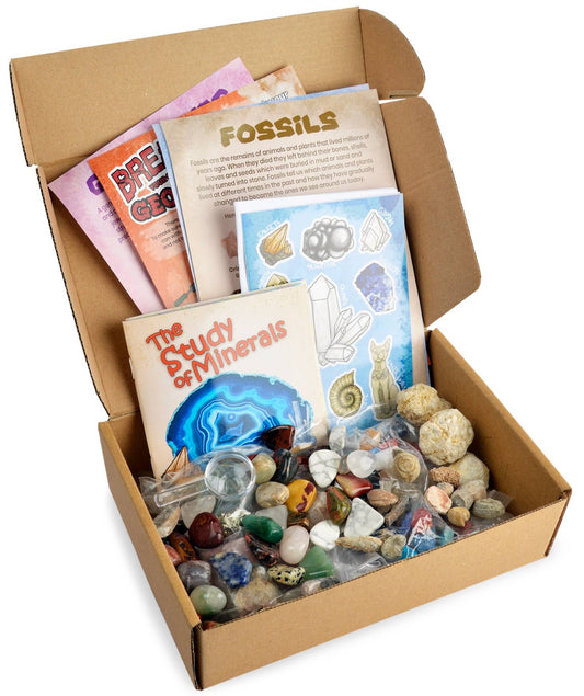 Fossil and Mineral Discovery Box