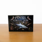Fossil Collection Box