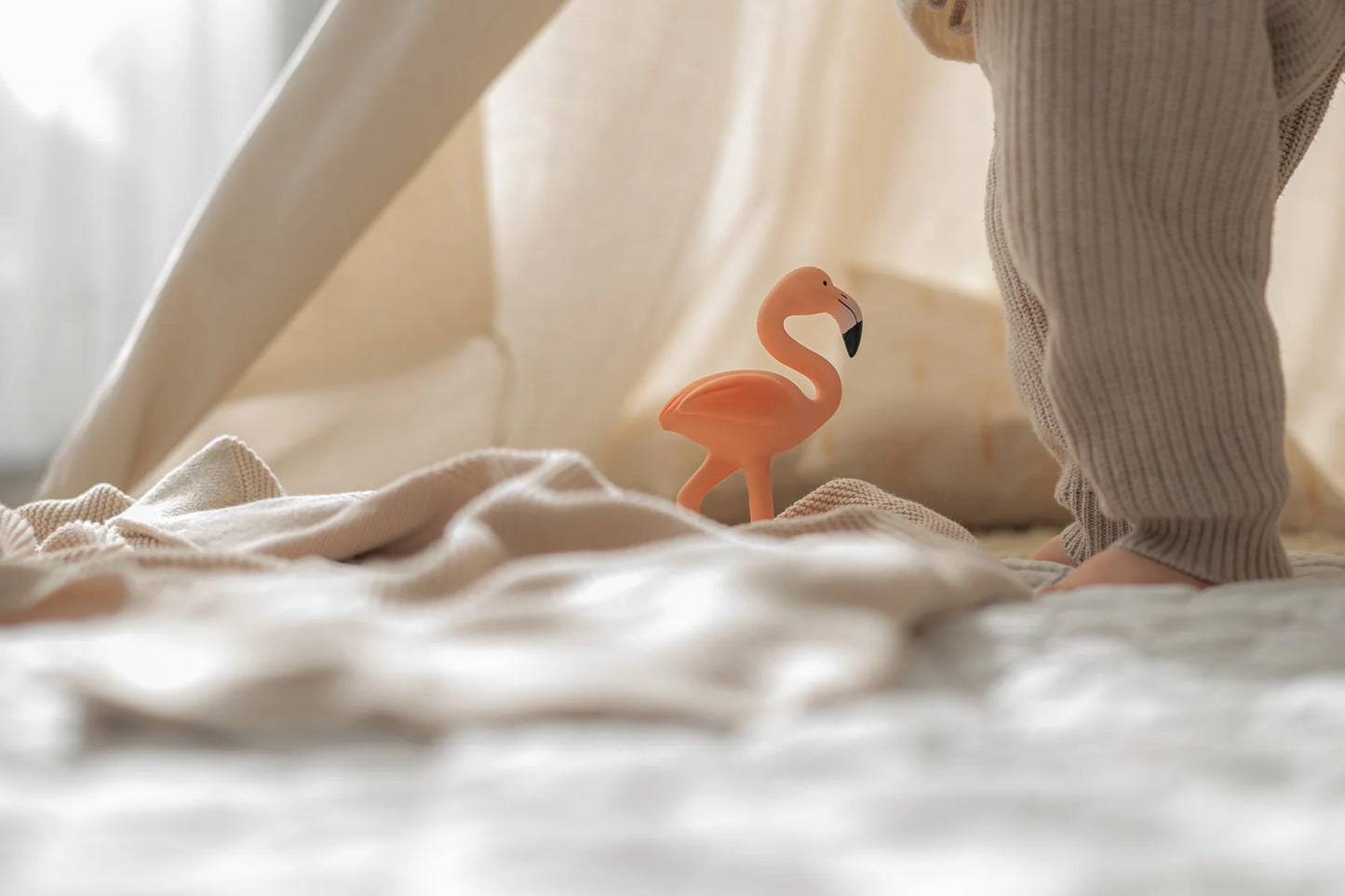 Lingo the Flamingo