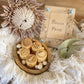 Wooden Nature Stamps